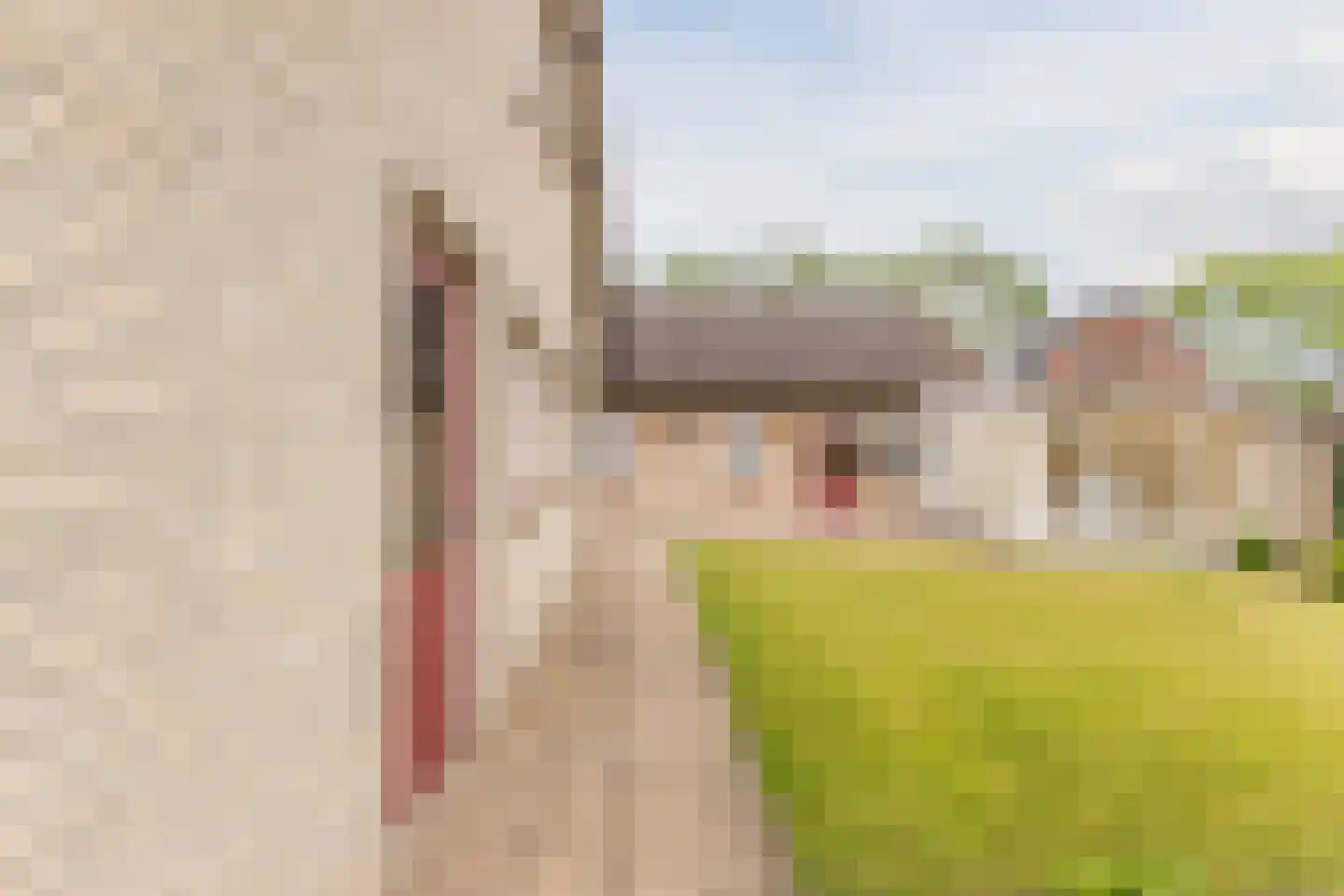 de Waarden 12 Heeze thumbnail 26