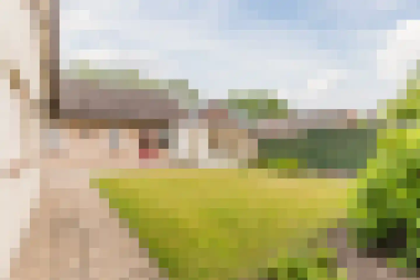 de Waarden 12 Heeze thumbnail 32