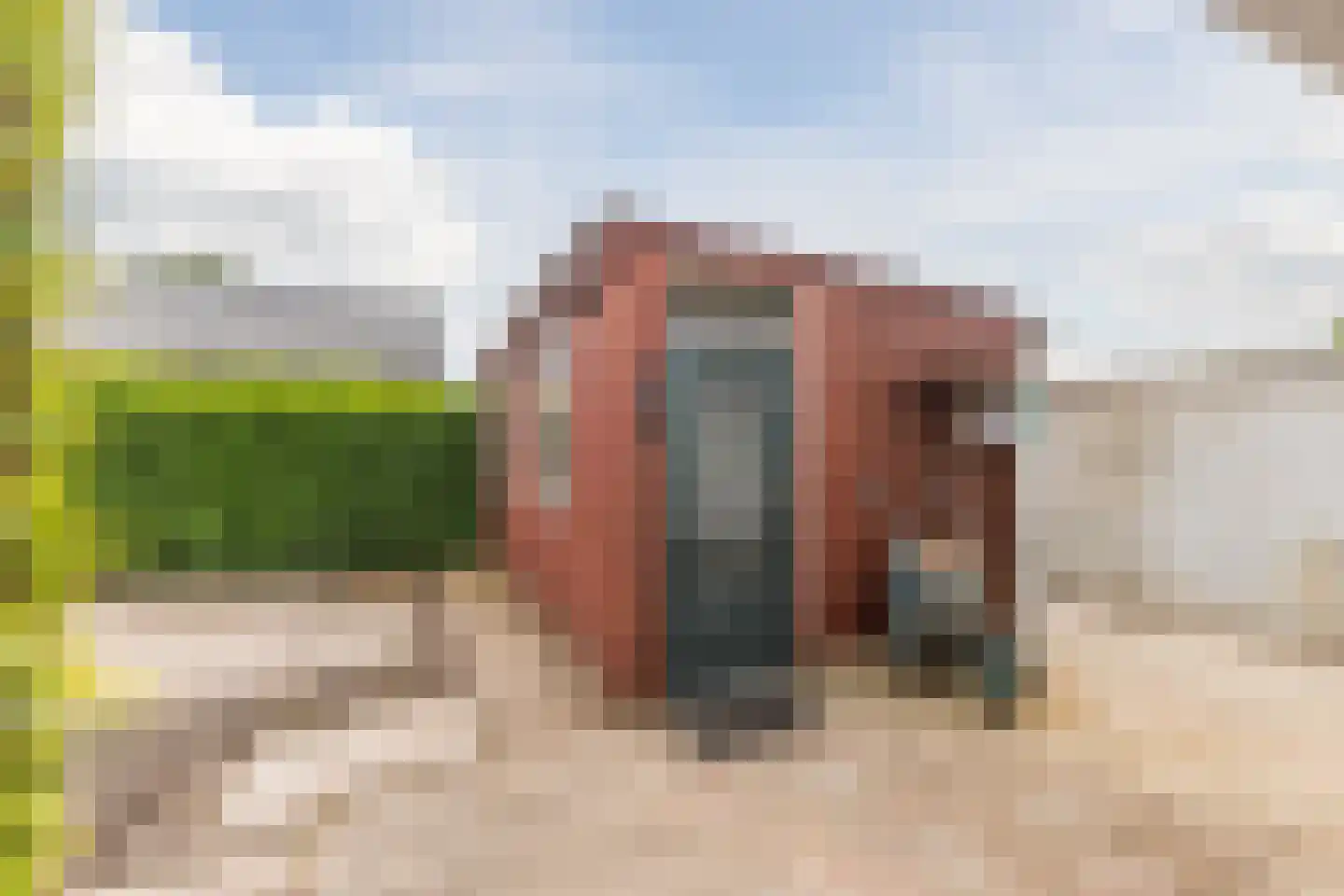 de Waarden 12 Heeze thumbnail 42