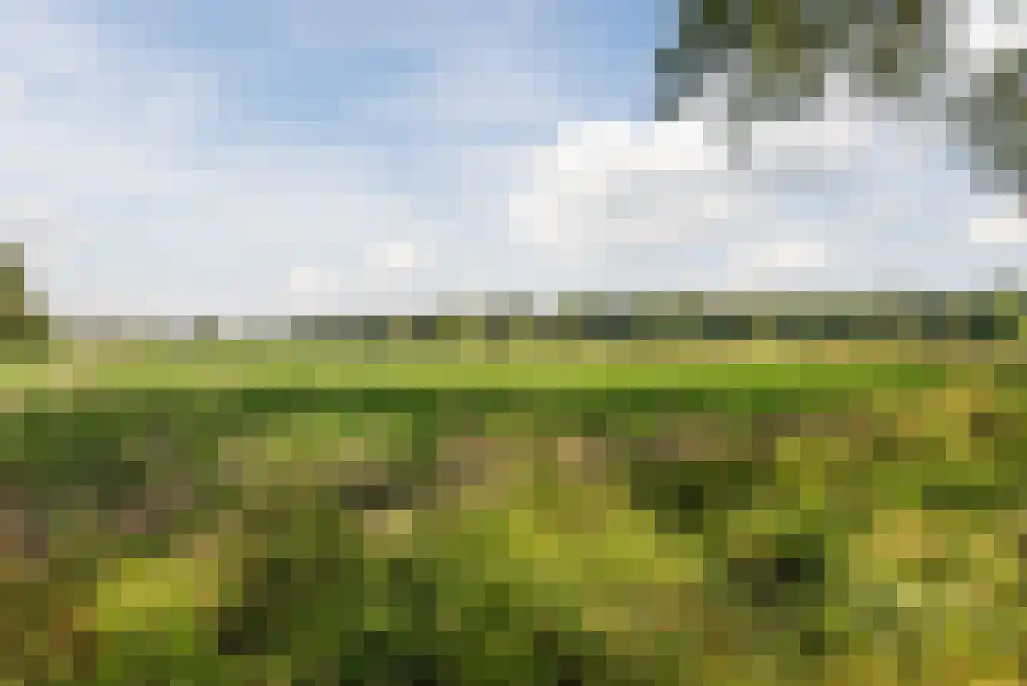 de Waarden 12 Heeze thumbnail 44