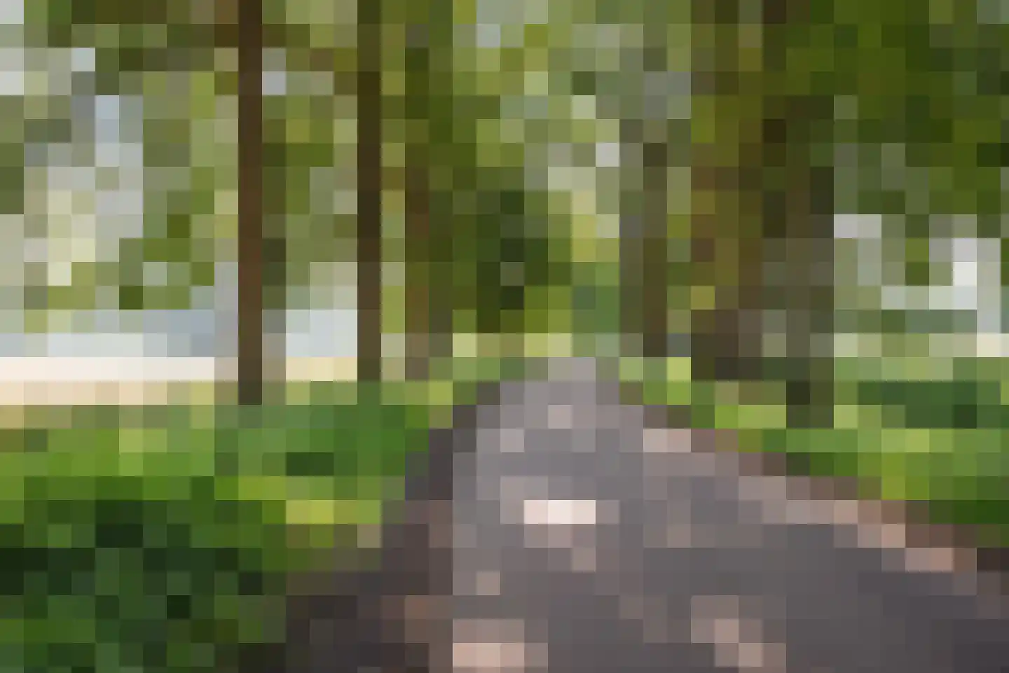 de Waarden 12 Heeze thumbnail 46
