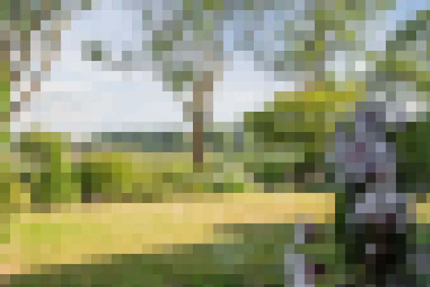 de Waarden 12 Heeze thumbnail 9