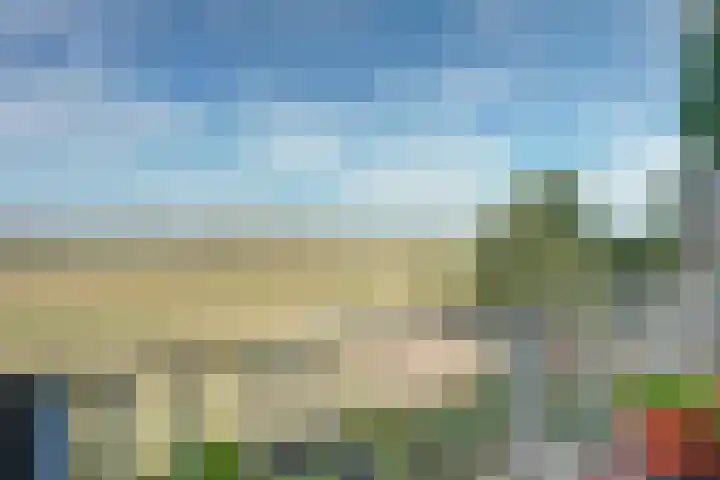 De Waarden 128 Zutphen thumbnail 24