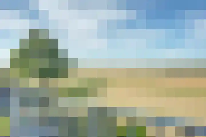 De Waarden 128 Zutphen thumbnail 25
