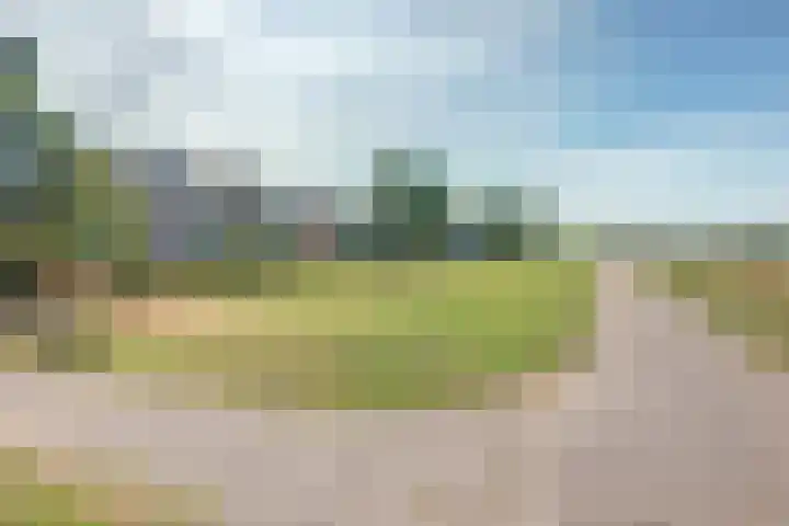 De Waarden 128 Zutphen thumbnail 28