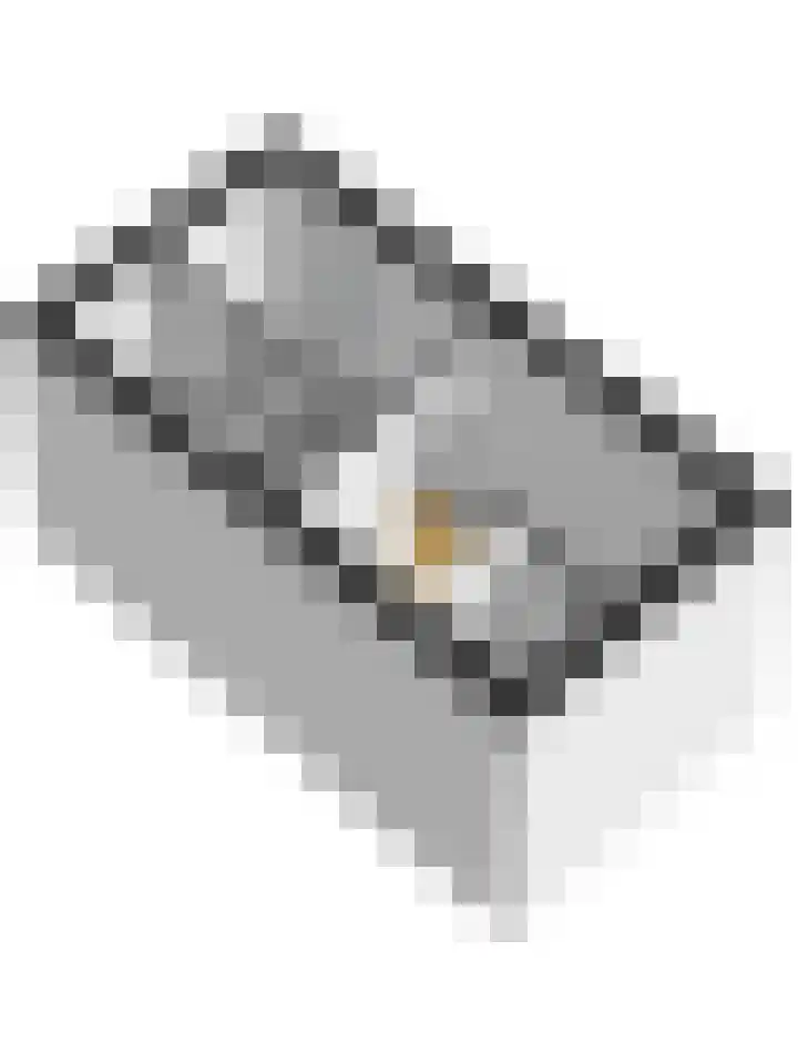 De Waarden 128 Zutphen thumbnail 36