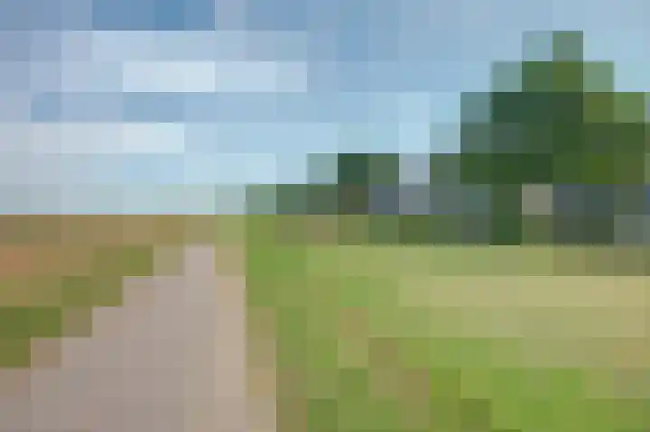 De Waarden 128 Zutphen thumbnail 4