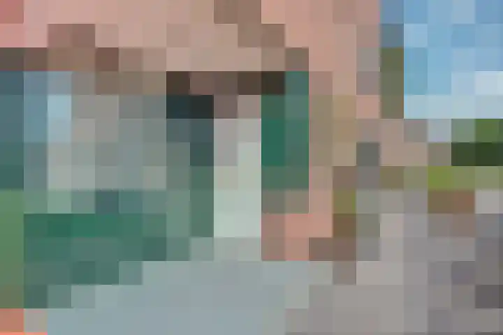 De Waarden 128 Zutphen thumbnail 8