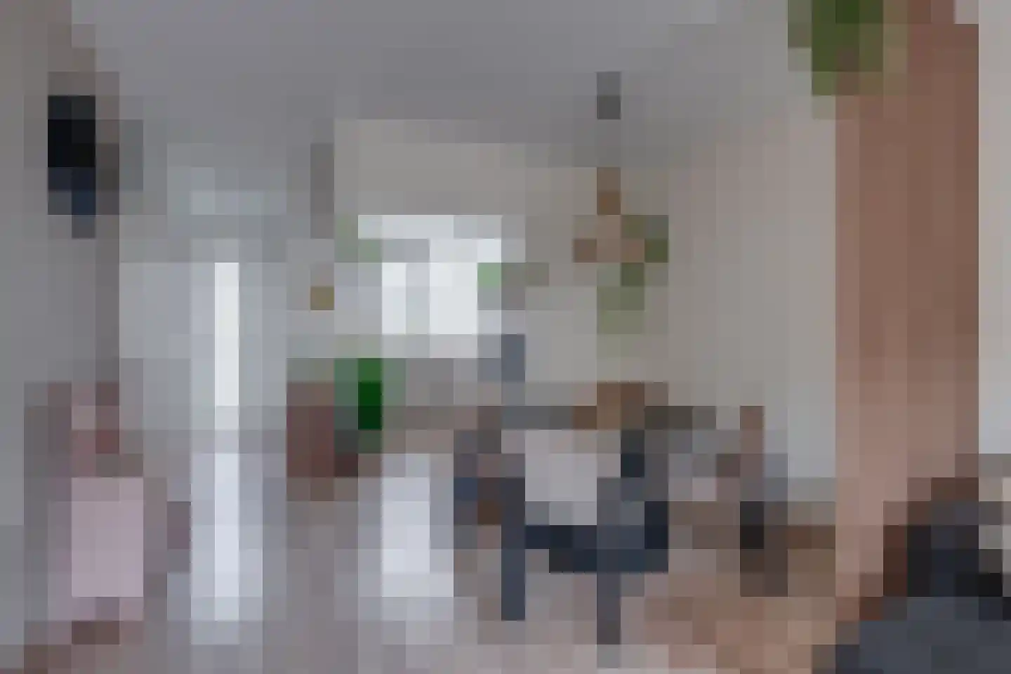De Waarden 14 Zutphen thumbnail 13