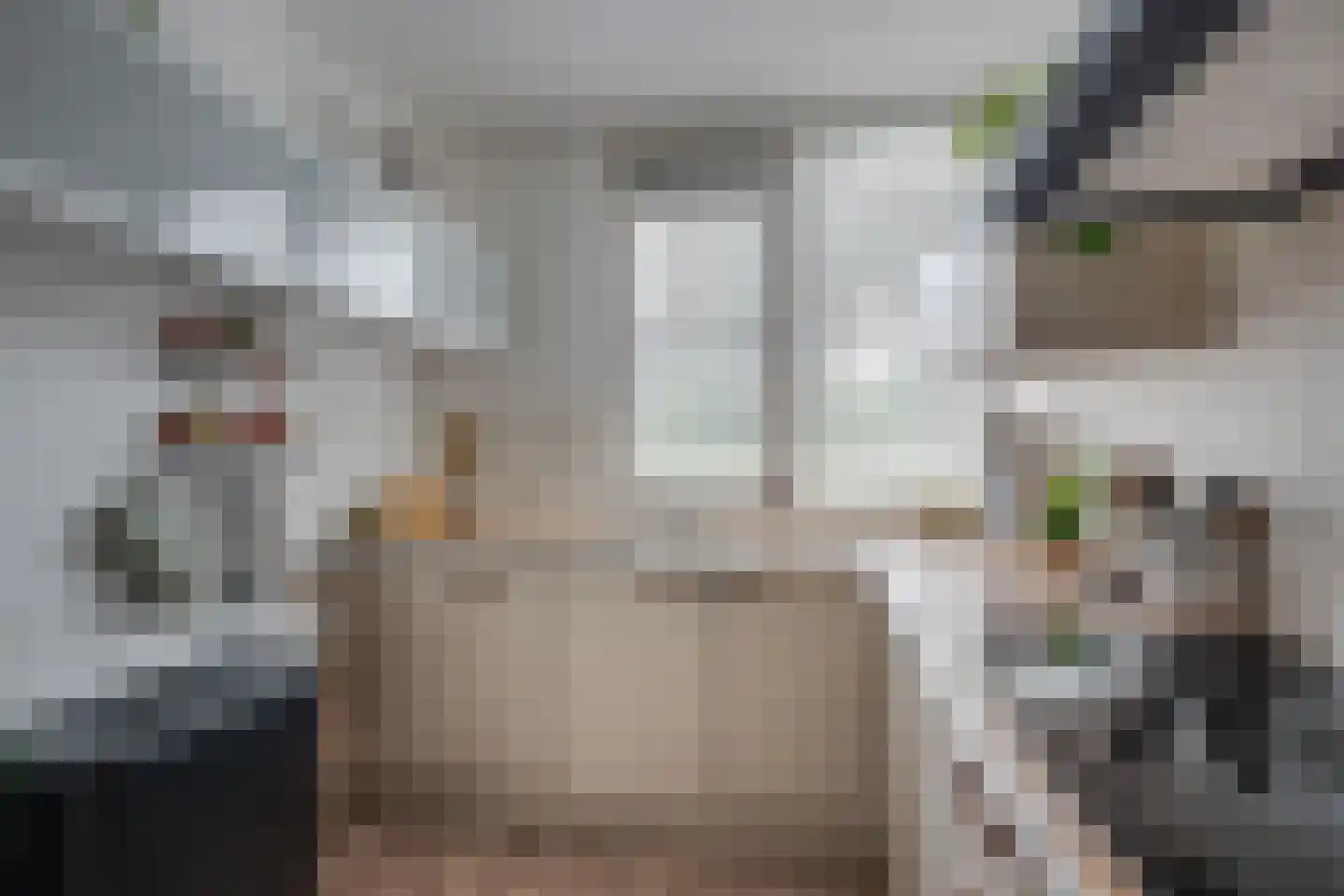 De Waarden 14 Zutphen thumbnail 16