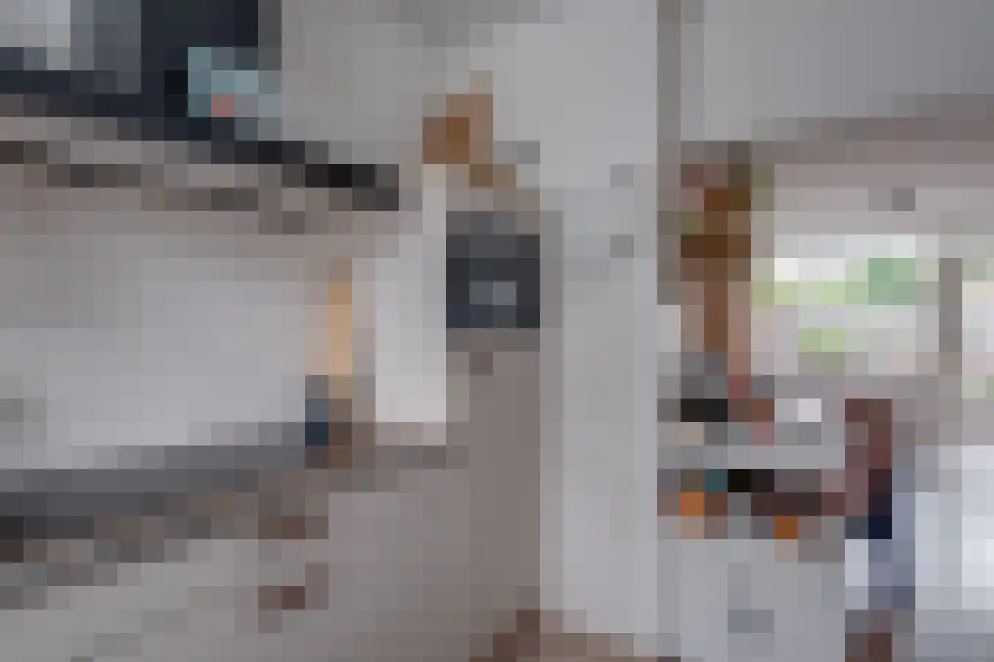De Waarden 14 Zutphen thumbnail 17