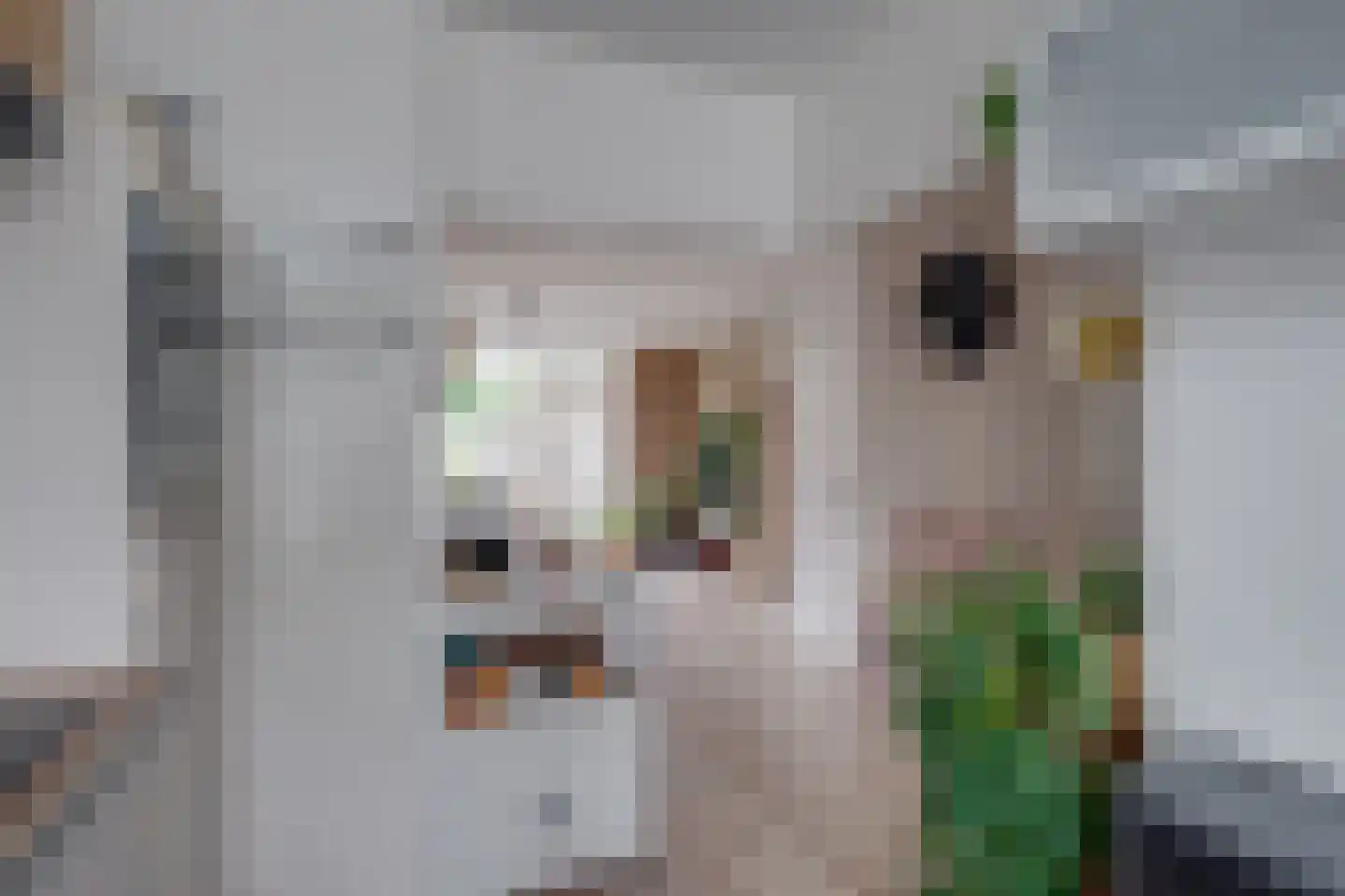De Waarden 14 Zutphen thumbnail 18