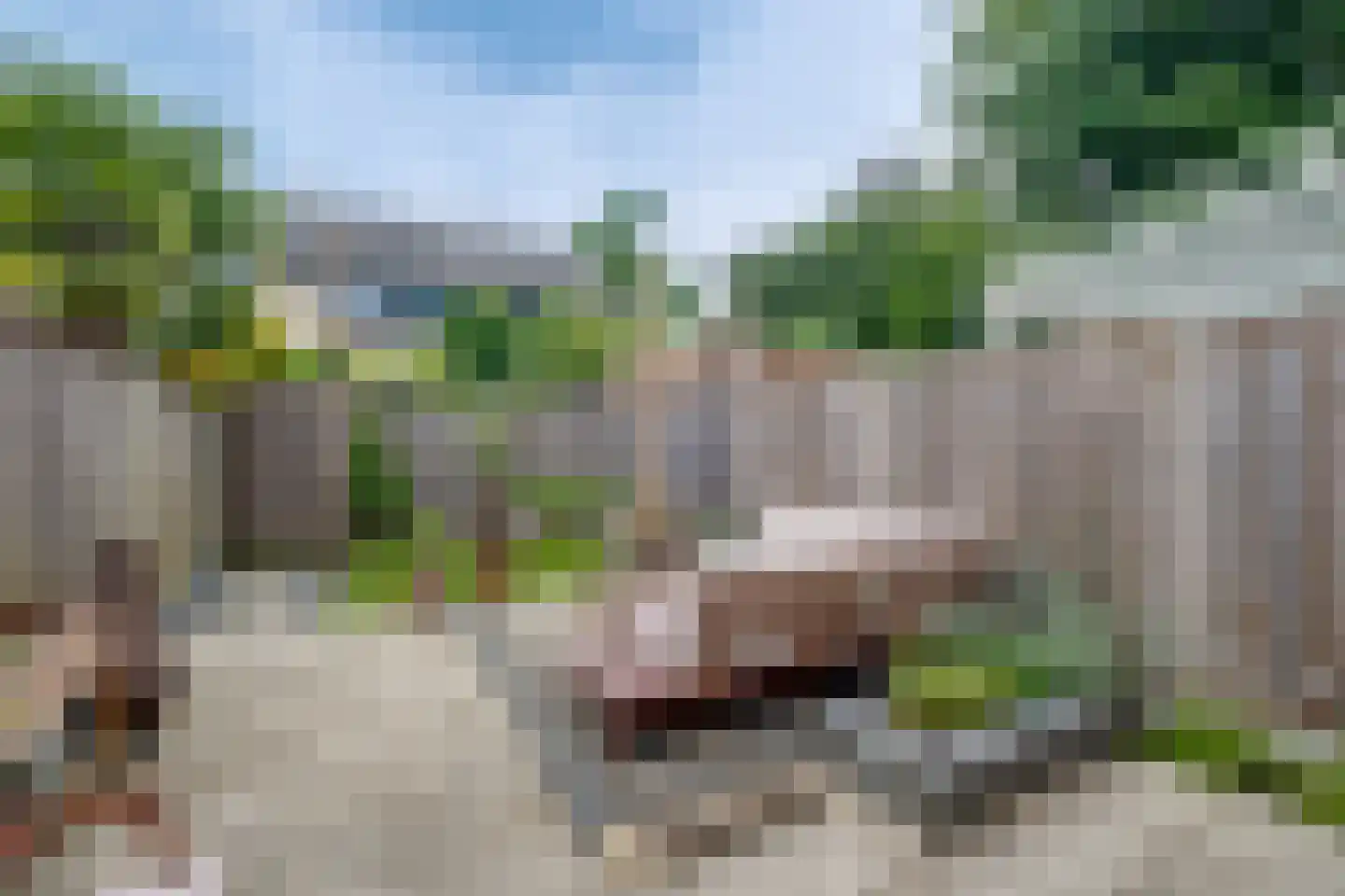 De Waarden 14 Zutphen thumbnail 34