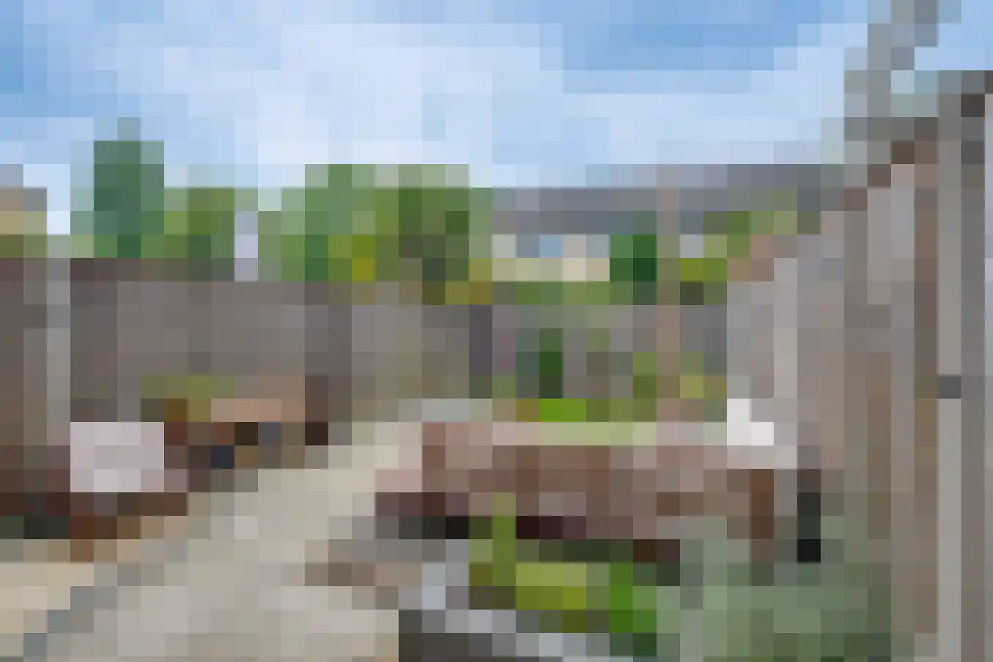 De Waarden 14 Zutphen thumbnail 4