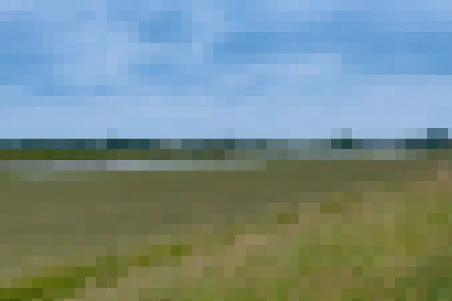 De Waarden 14 Zutphen thumbnail 41