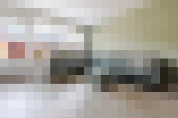 De Waarden 152 Zutphen thumbnail 13