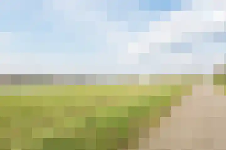 De Waarden 152 Zutphen thumbnail 39
