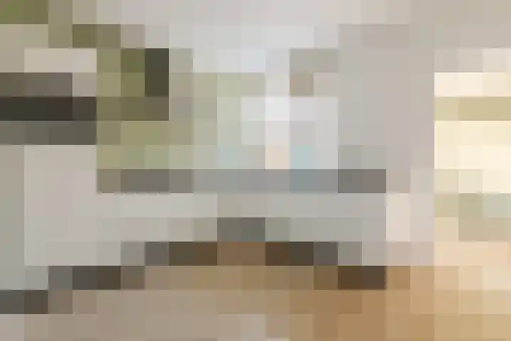 De Waarden 152 Zutphen thumbnail 4