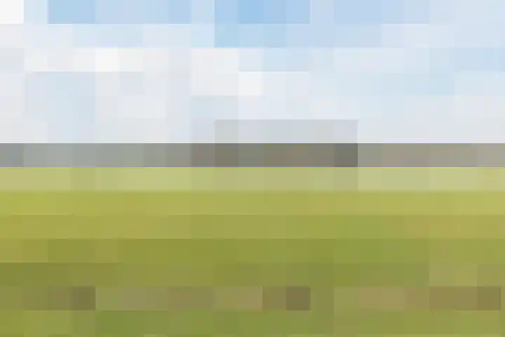 De Waarden 152 Zutphen thumbnail 40