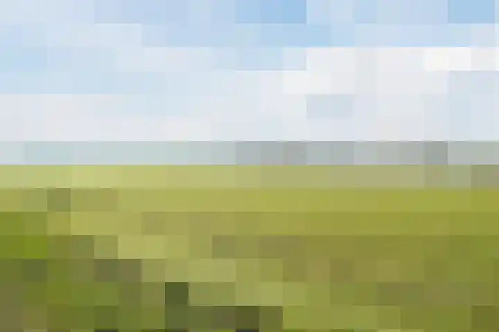 De Waarden 152 Zutphen thumbnail 41