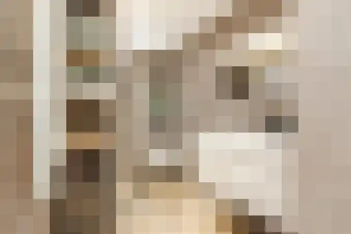 De Waarden 152 Zutphen thumbnail 5