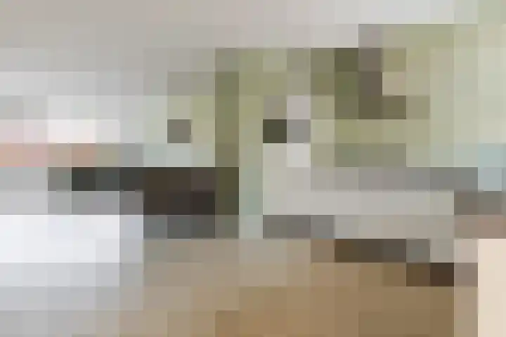 De Waarden 152 Zutphen thumbnail 8
