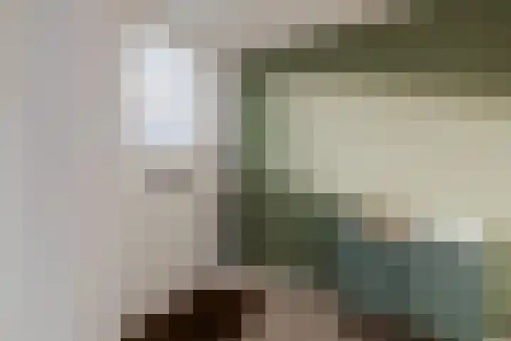 De Waarden 152 Zutphen thumbnail 9
