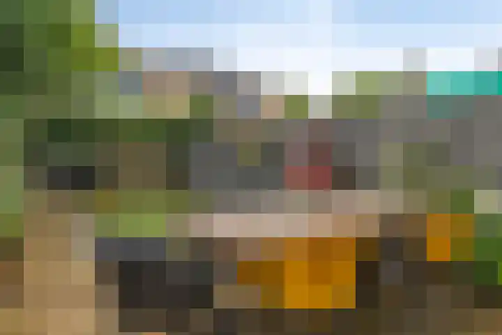De Waarden 175 Zutphen thumbnail 21