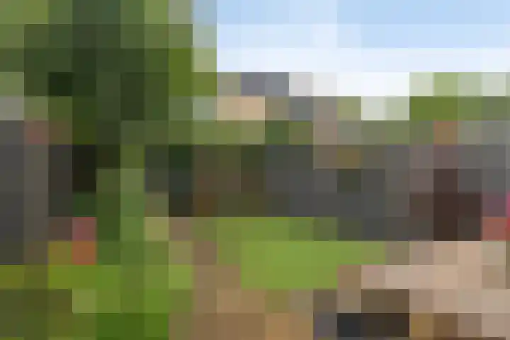 De Waarden 175 Zutphen thumbnail 22
