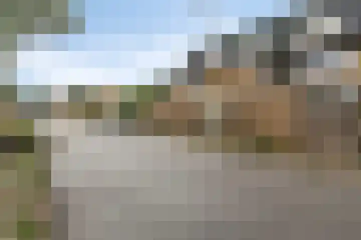 De Waarden 175 Zutphen thumbnail 25
