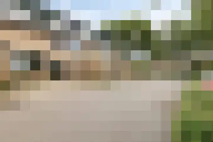 De Waarden 175 Zutphen thumbnail 27