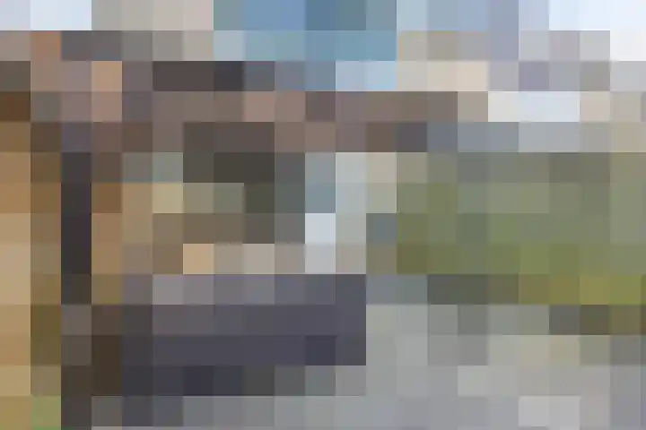 De Waarden 193 Zutphen thumbnail 24