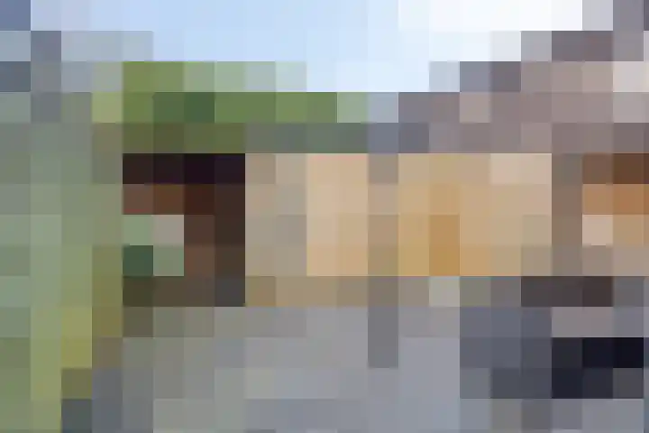 De Waarden 193 Zutphen thumbnail 26