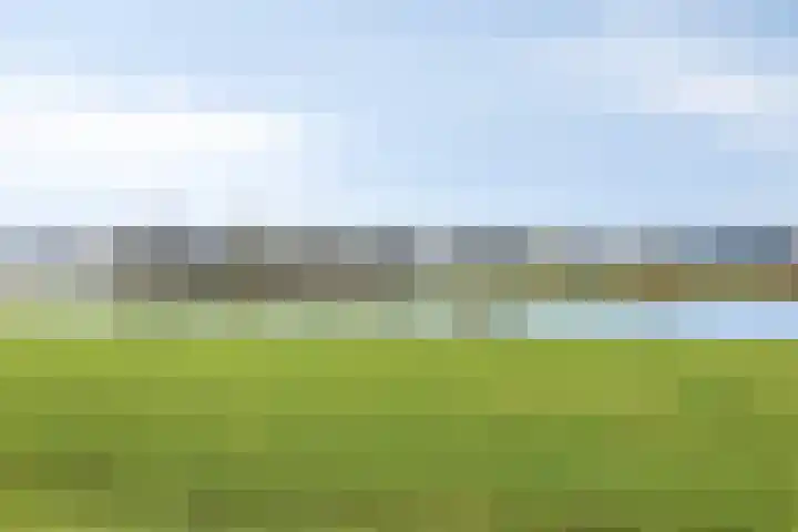 De Waarden 193 Zutphen thumbnail 33