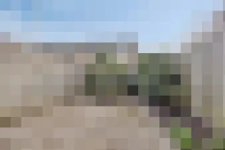 De Waarden 205 Zutphen thumbnail 30