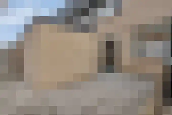De Waarden 205 Zutphen thumbnail 31