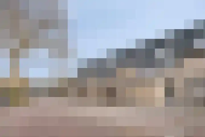 De Waarden 205 Zutphen thumbnail 33