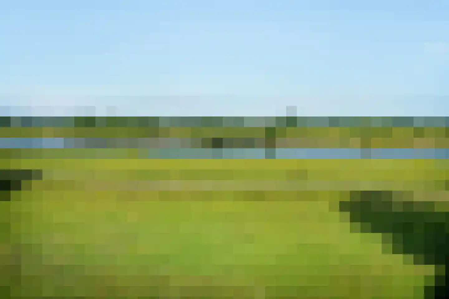 De Waarden 233 Zutphen thumbnail 6
