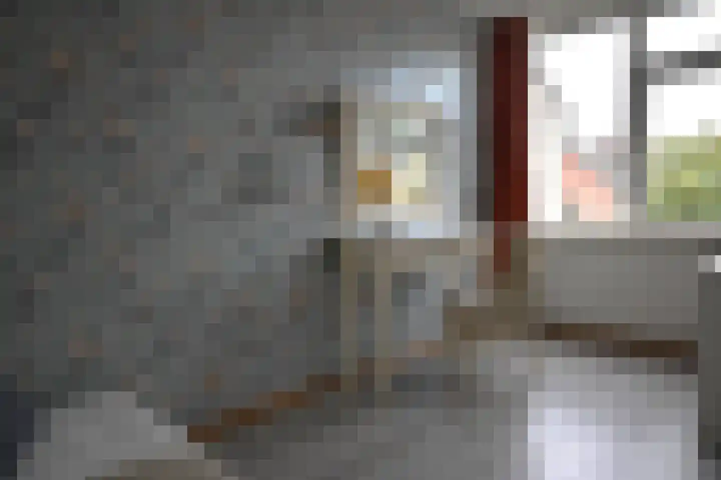 De Waarden 243 Zutphen thumbnail 21