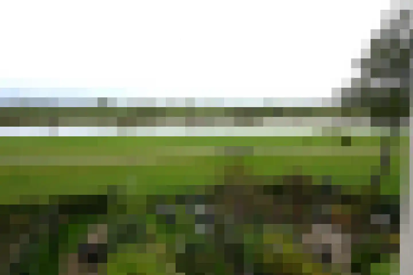 De Waarden 243 Zutphen thumbnail 26