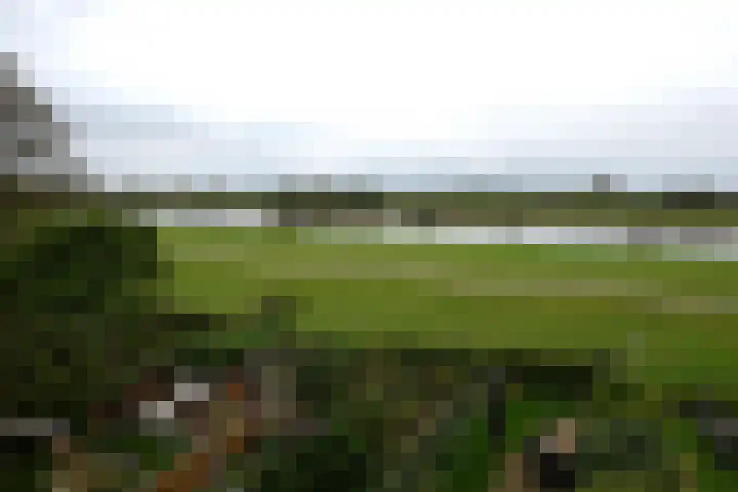 De Waarden 243 Zutphen thumbnail 27