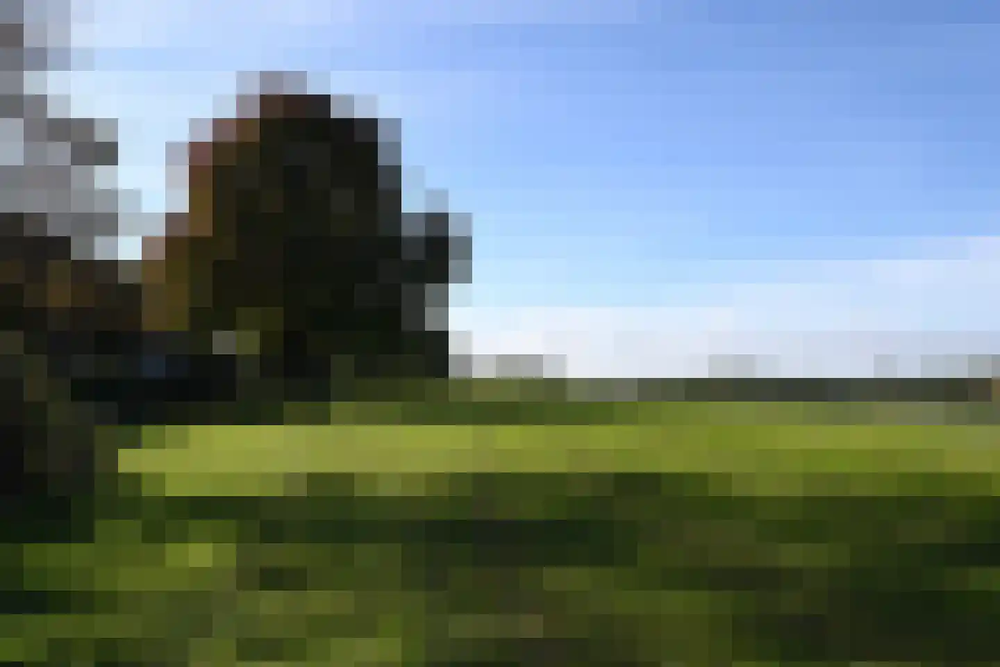 De Waarden 243 Zutphen thumbnail 30