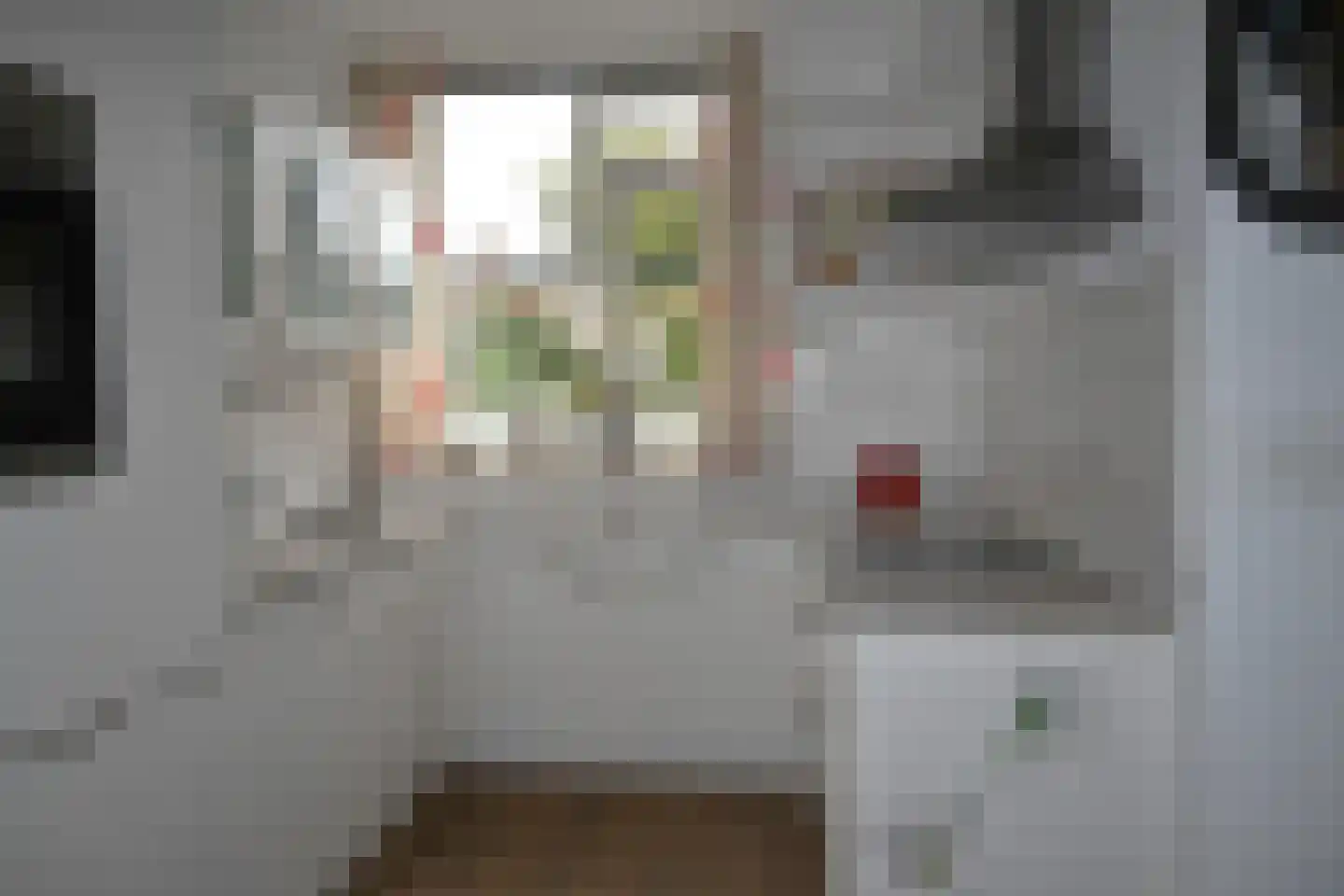 De Waarden 243 Zutphen thumbnail 9