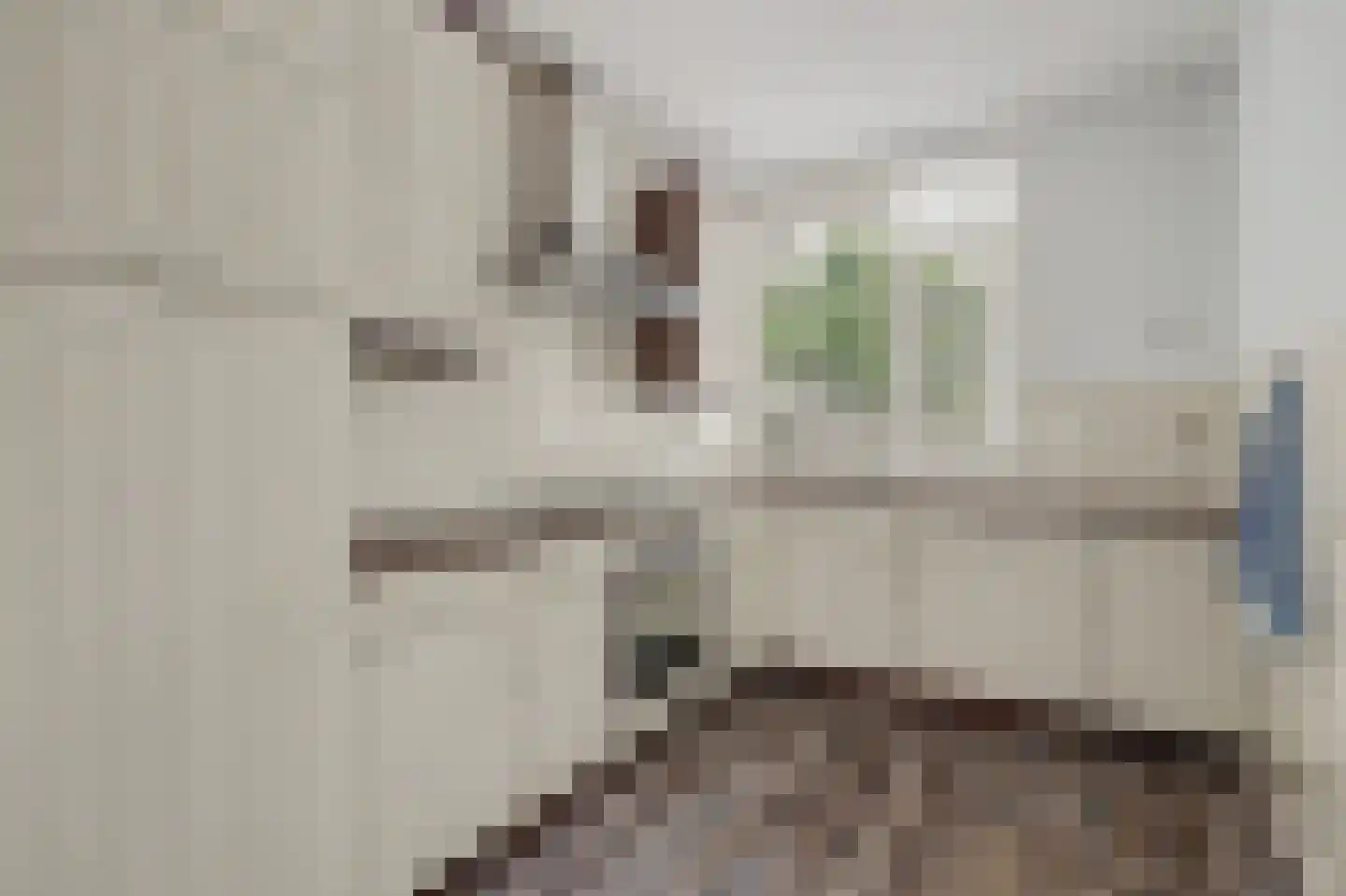 De Waarden 252 Zutphen thumbnail 10