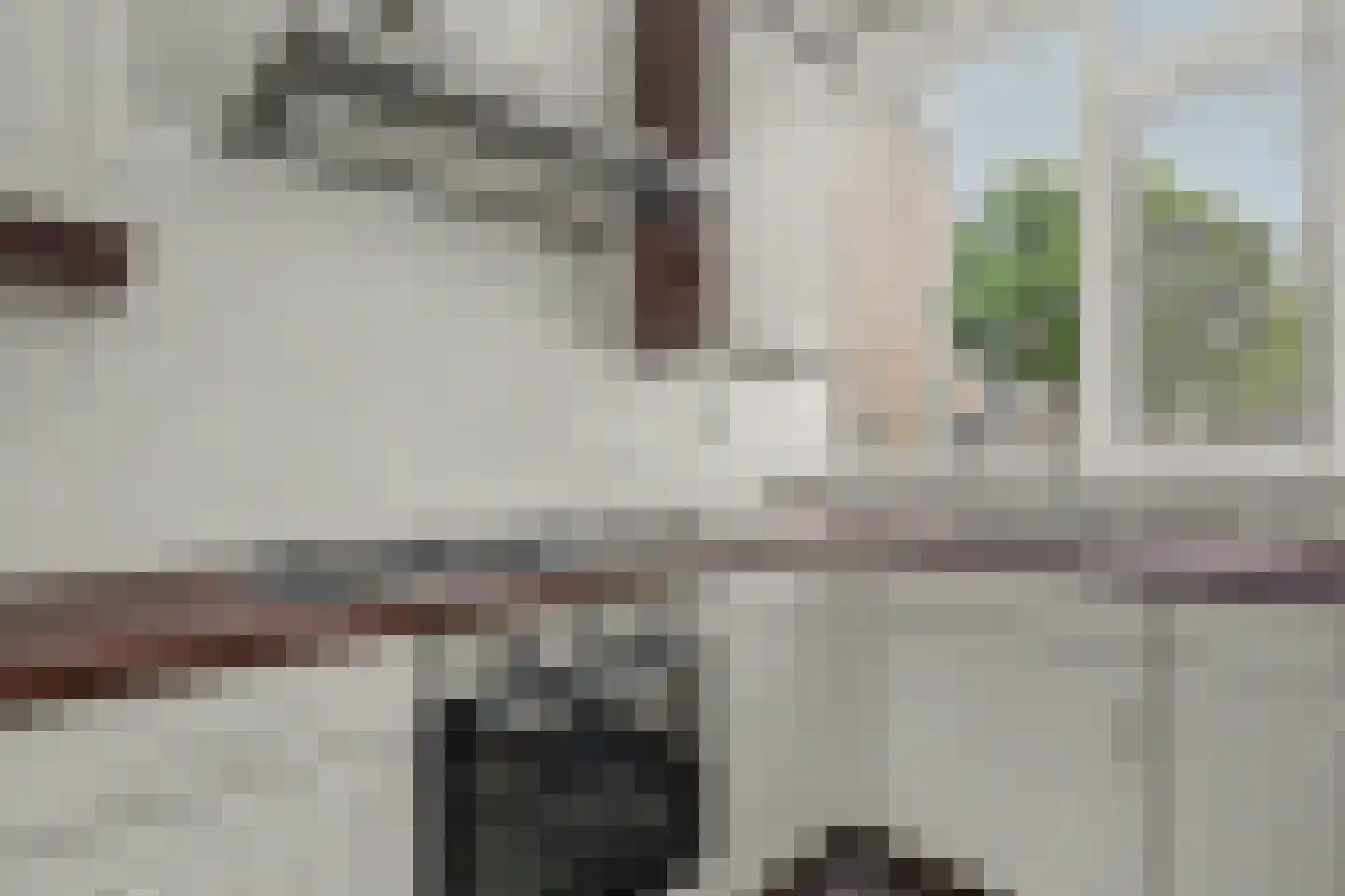De Waarden 252 Zutphen thumbnail 11