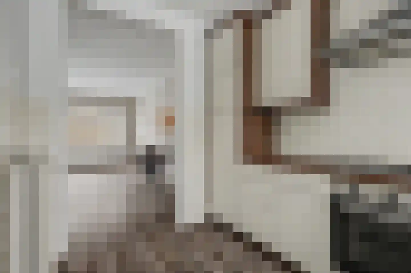 De Waarden 252 Zutphen thumbnail 12