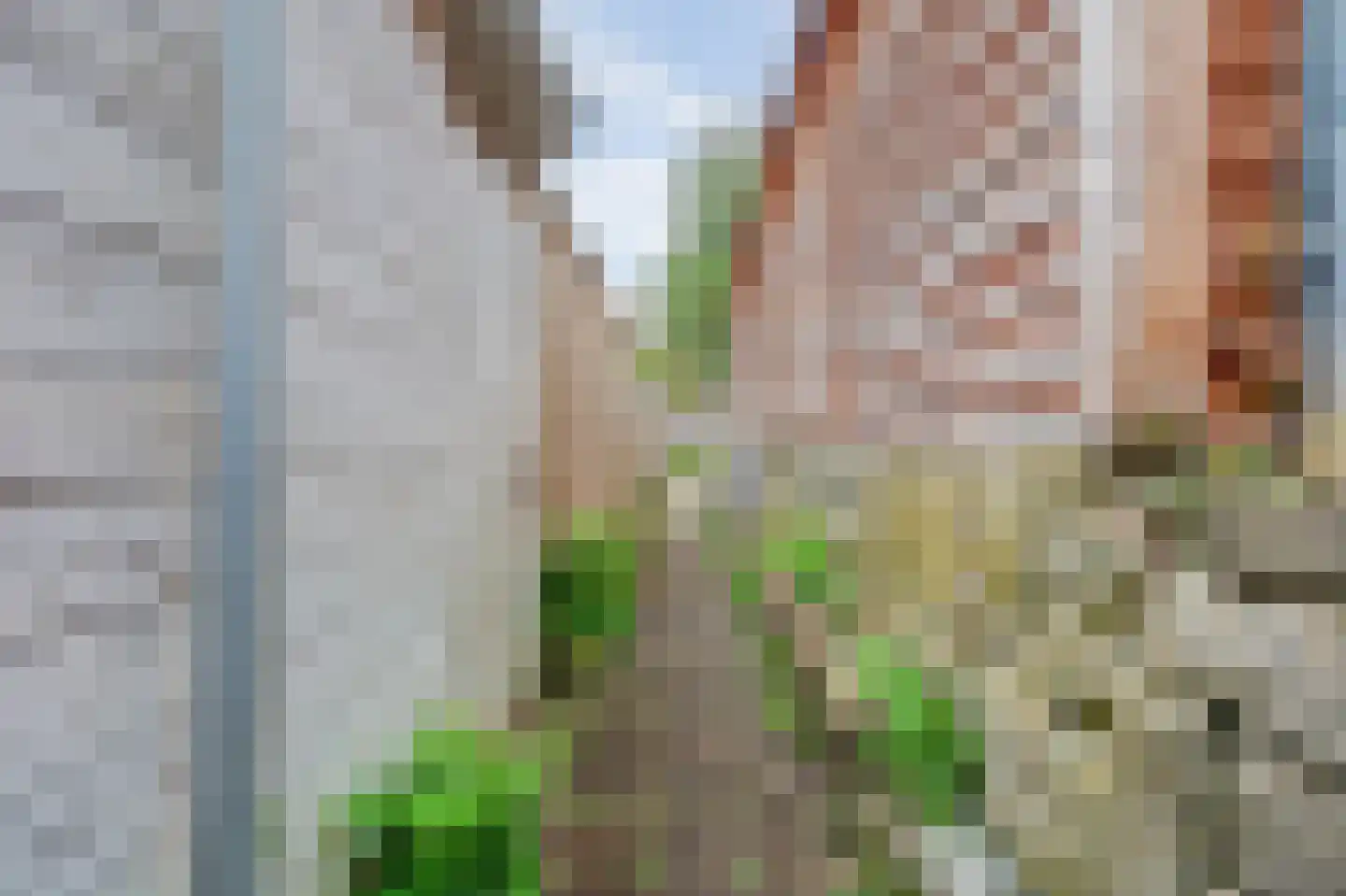 De Waarden 252 Zutphen thumbnail 28