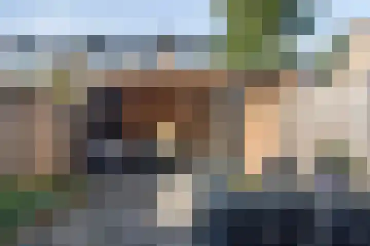 De Waarden 280 Zutphen thumbnail 32