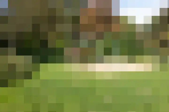 De Waarden 280 Zutphen thumbnail 36
