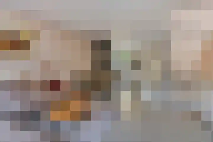 De Waarden 280 Zutphen thumbnail 8